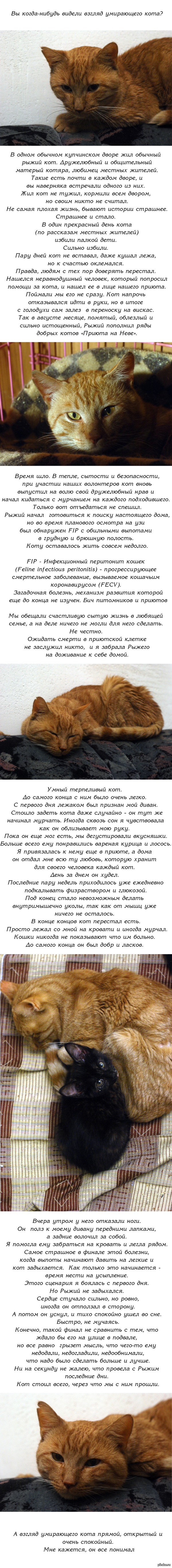 Кракен адрес тор