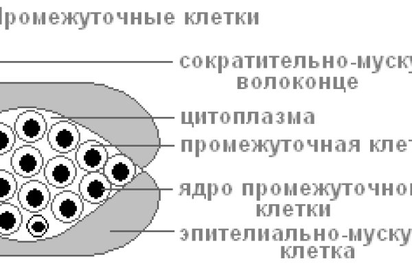 Что такое кракен сайт в россии