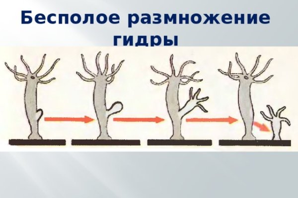 Кракен работает