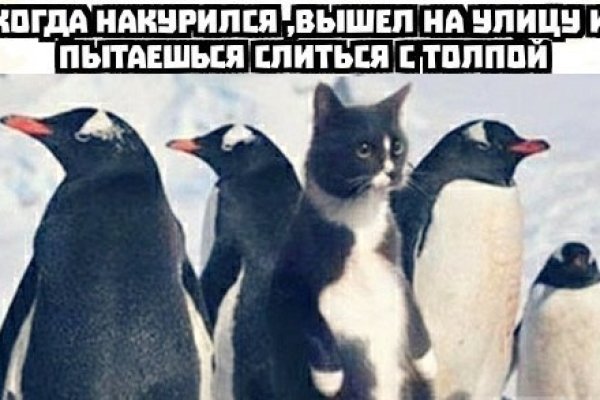 Ссылка на кракен даркнет