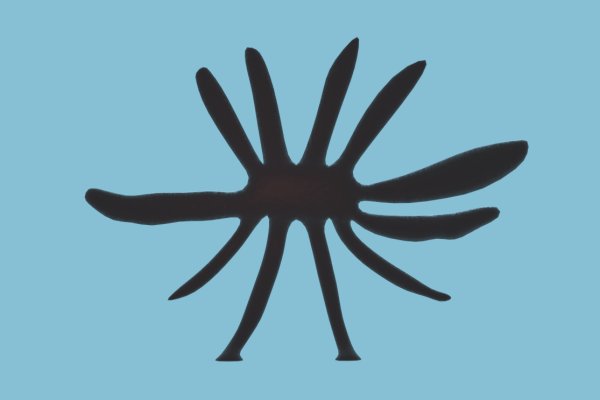 Kraken новая ссылка
