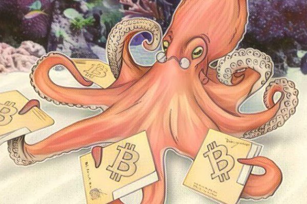Kraken 12at