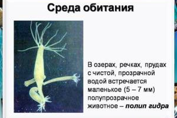 Актуальная ссылка на кракен